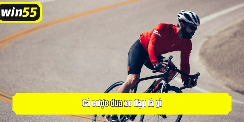 Cá cược đua xe đạp là gì