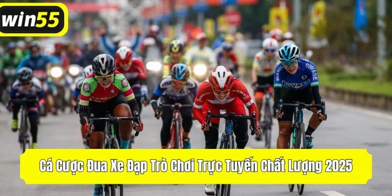 Cá Cược Đua Xe Đạp Trò Chơi Trực Tuyến Chất Lượng 2025