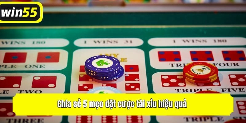 Chia sẻ 5 mẹo đặt cược tài xỉu hiệu quả