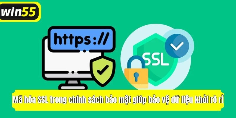 Mã hóa SSL giúp bảo vệ dữ liệu từ nguy cơ rò rỉ trong mọi giao dịch của bạn